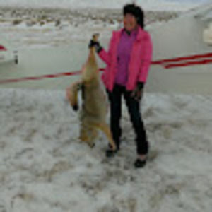 Meet your Posher, Sara